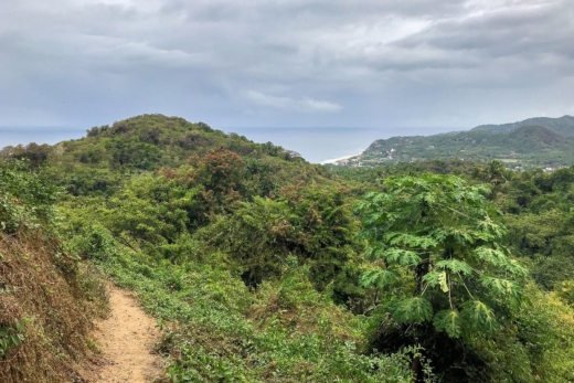 To San Pancho, Through the Jungle, On Foot