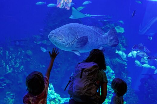 Gran Acuario (Mazatlan Aquarium)