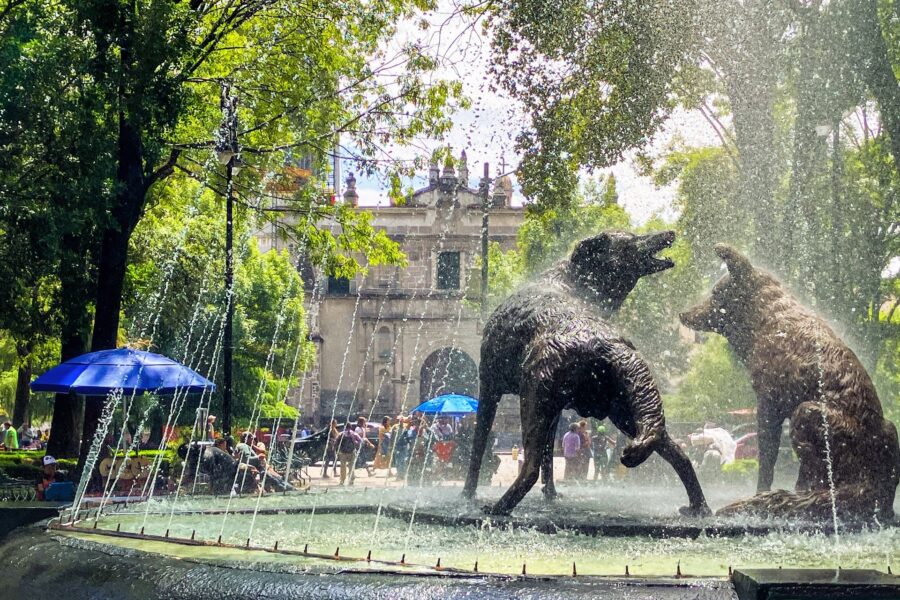 coyoacan-cdmx-aug2025-featured-img_0597